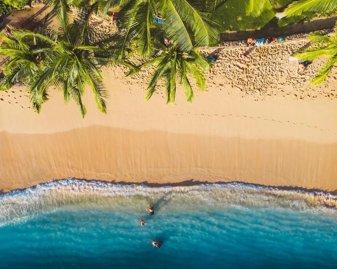 Imagine972 Martinique Bateau Hotel A Quai Le Marin 3 Cabines 3 Salles De Bains 6 Pers Maxi