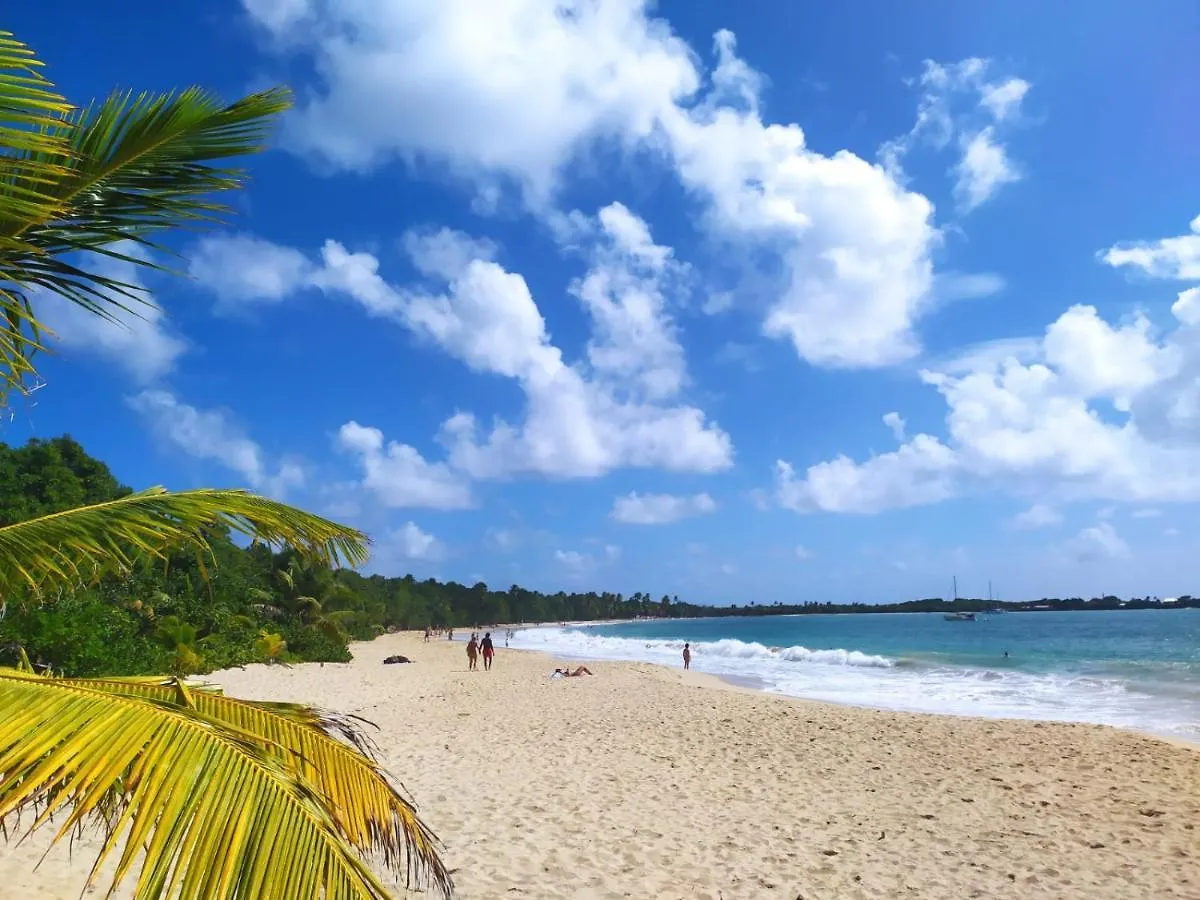 Imagine972 Martinique Bateau Hotel A Quai Le Marin 3 Cabines 3 Salles De Bains 6 Pers Maxi Martinique