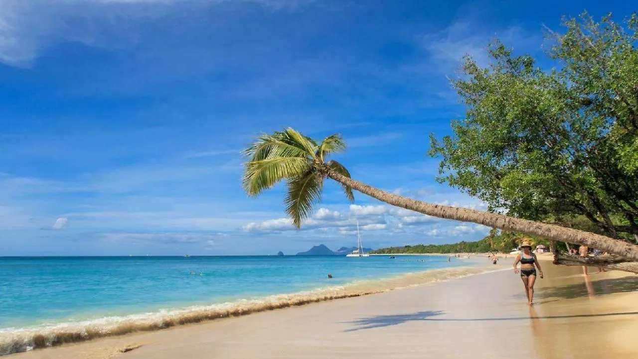 Imagine972 Martinique Bateau Hotel A Quai Le Marin 3 Cabines 3 Salles De Bains 6 Pers Maxi